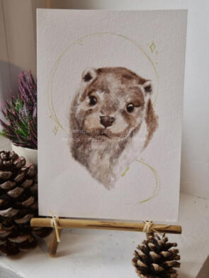 Petite Loutre 09/2025